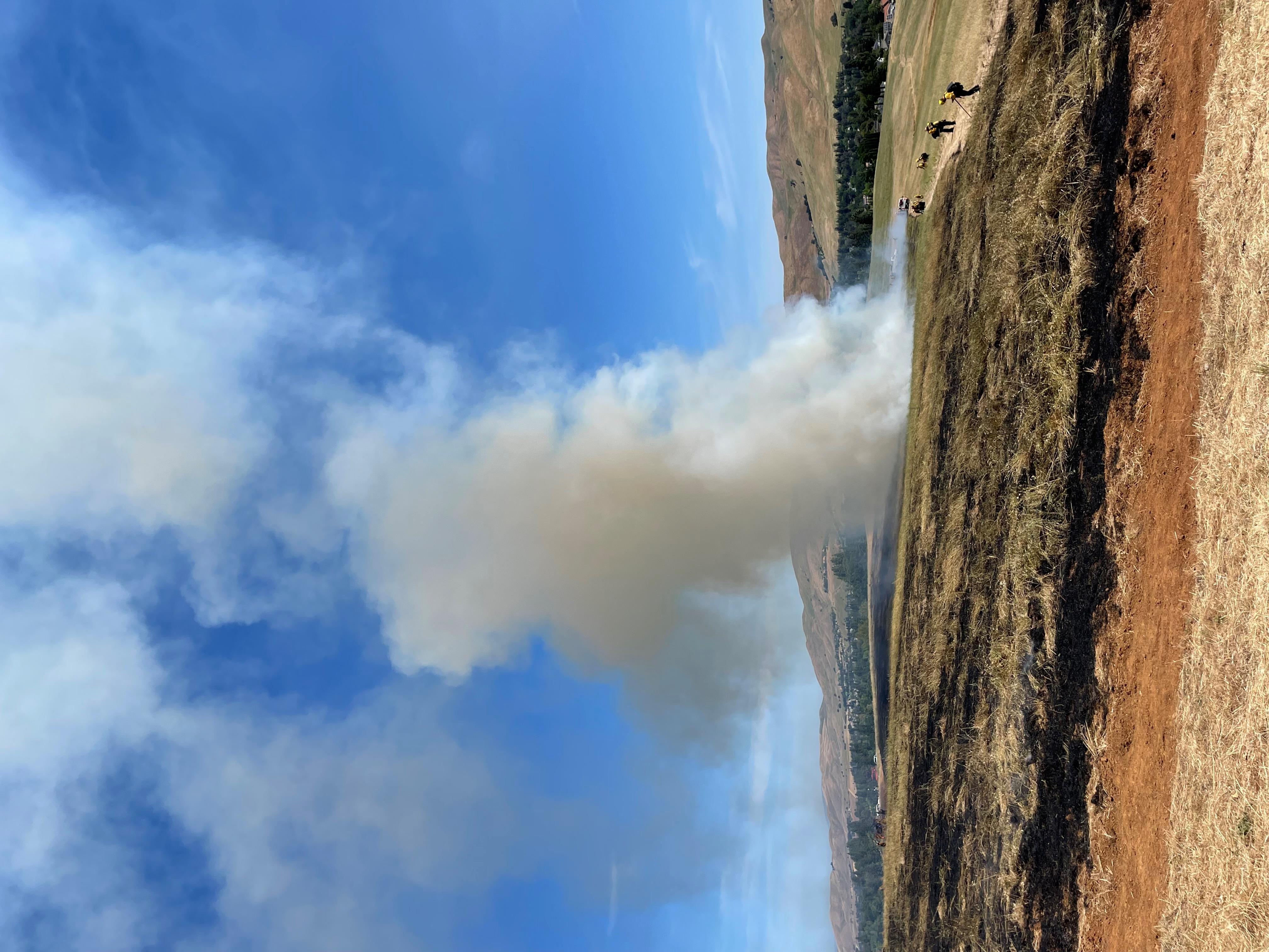 Column of smoke rising from burn plot